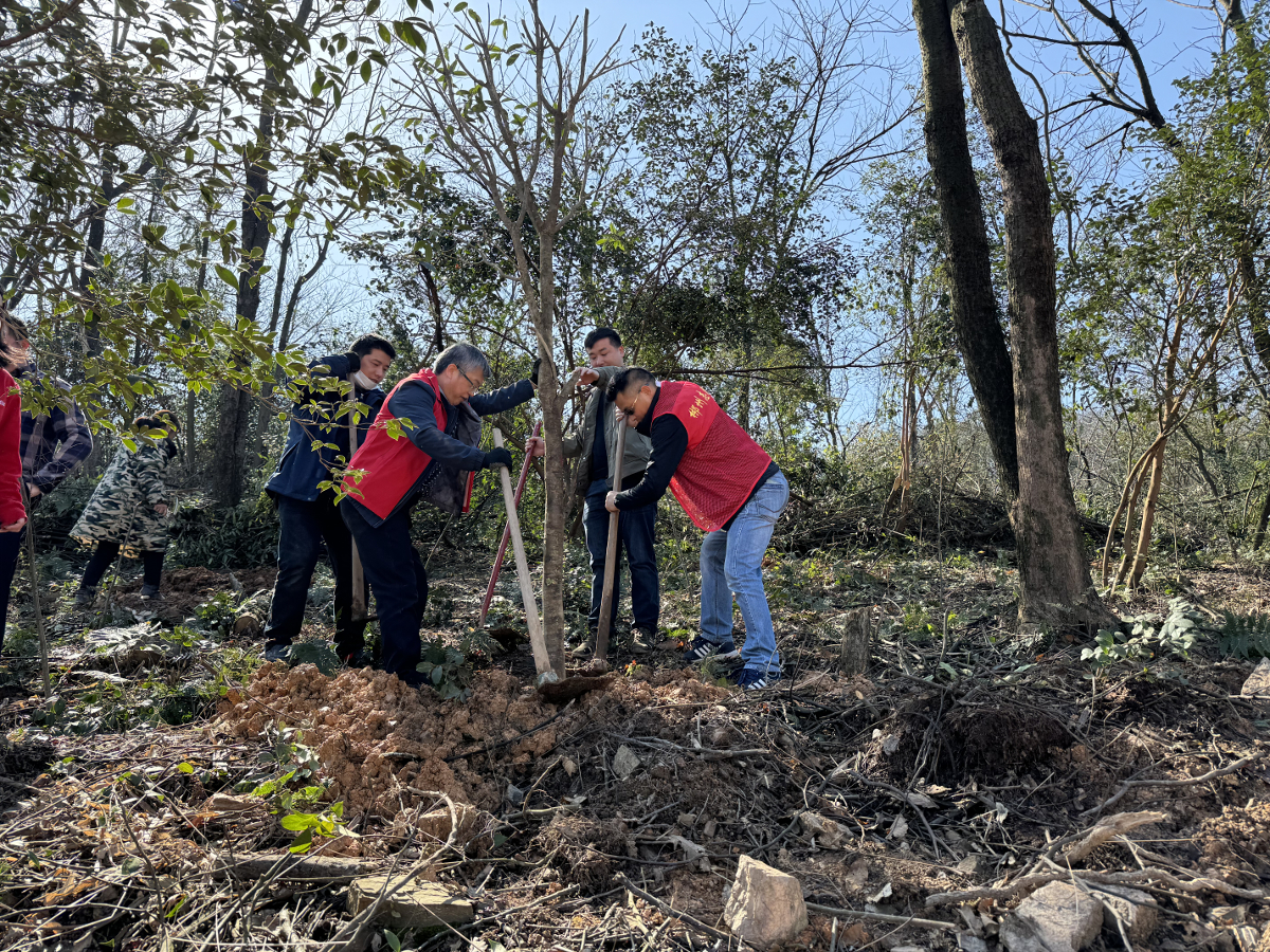 40002865.jpg 40002865.jpg