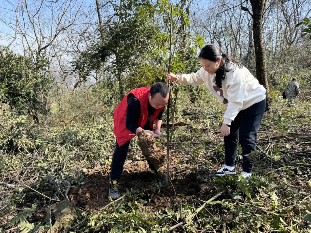 475537170.jpg 475537170.jpg